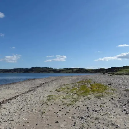 8 Person In Struer-by Traum Struer